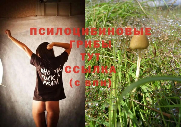 ECSTASY Абинск